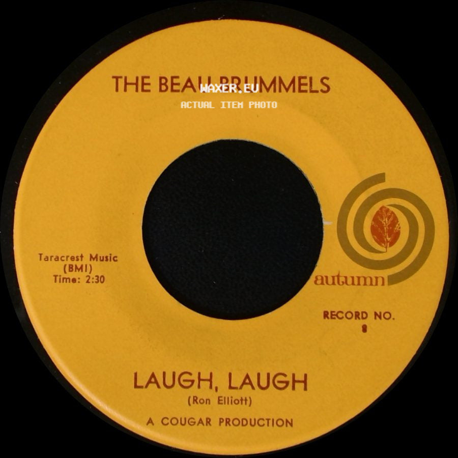 The Beau Brummels - Still In Love With You Baby / Laugh, Laugh side B