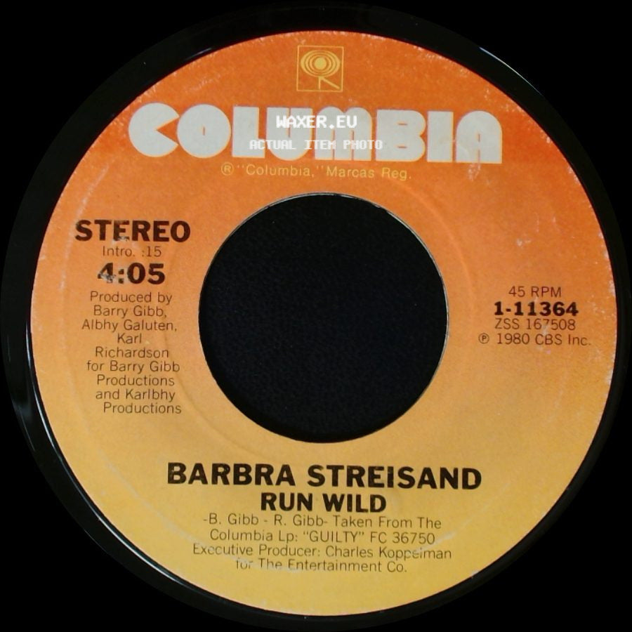 Barbra Streisand - Run Wild / Woman In Love side A