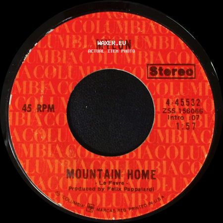 Mylon - Why You Been Gone So Long / Mountain Home side B