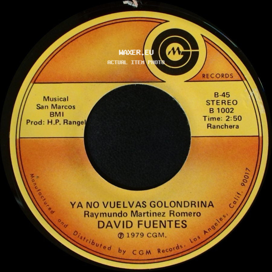 David Fuentes - Por Dioz Que Tengo Razon / Ya No Vuelvas Golondrina side B