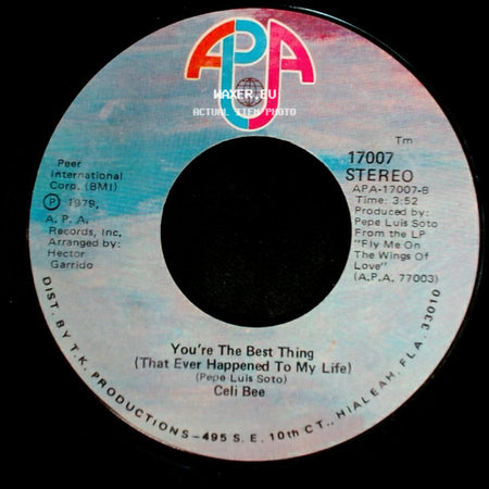 Celi Bee - Fly Me On The Wings Of Love / You're The Best Thing (That Ever Happened To My Life) side B