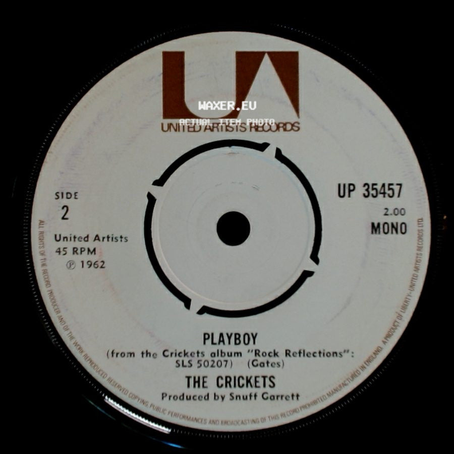 The Crickets - Don't Ever Change / Playboy side B