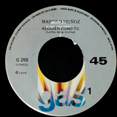 Manolo Muñoz - Alguien Como Tu (Lolita De La Colina) / Voy A Perder / La Cabeza Por Tu Amor side A