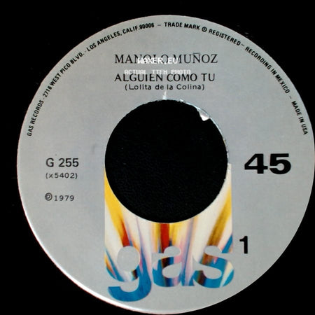 Manolo Muñoz - Alguien Como Tu (Lolita De La Colina) / Voy A Perder / La Cabeza Por Tu Amor side A