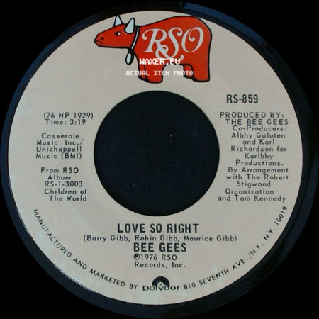 Bee Gees - Love So Right / You Stepped Into My Life side A