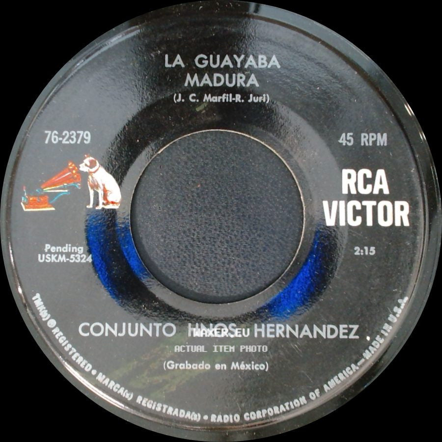 Conjunto Hnos. Hernandez - La Guayaba Madura / El Mudo Pilar side A