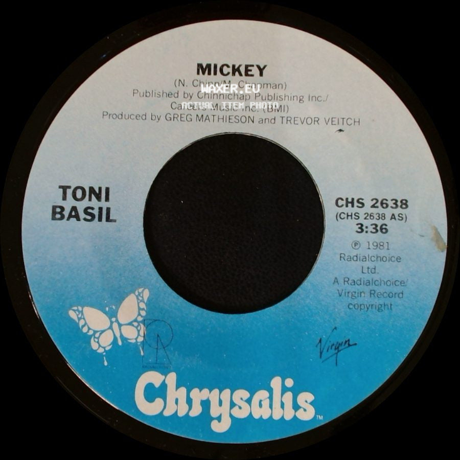 Toni Basil - Thief On The Loose / Mickey side B
