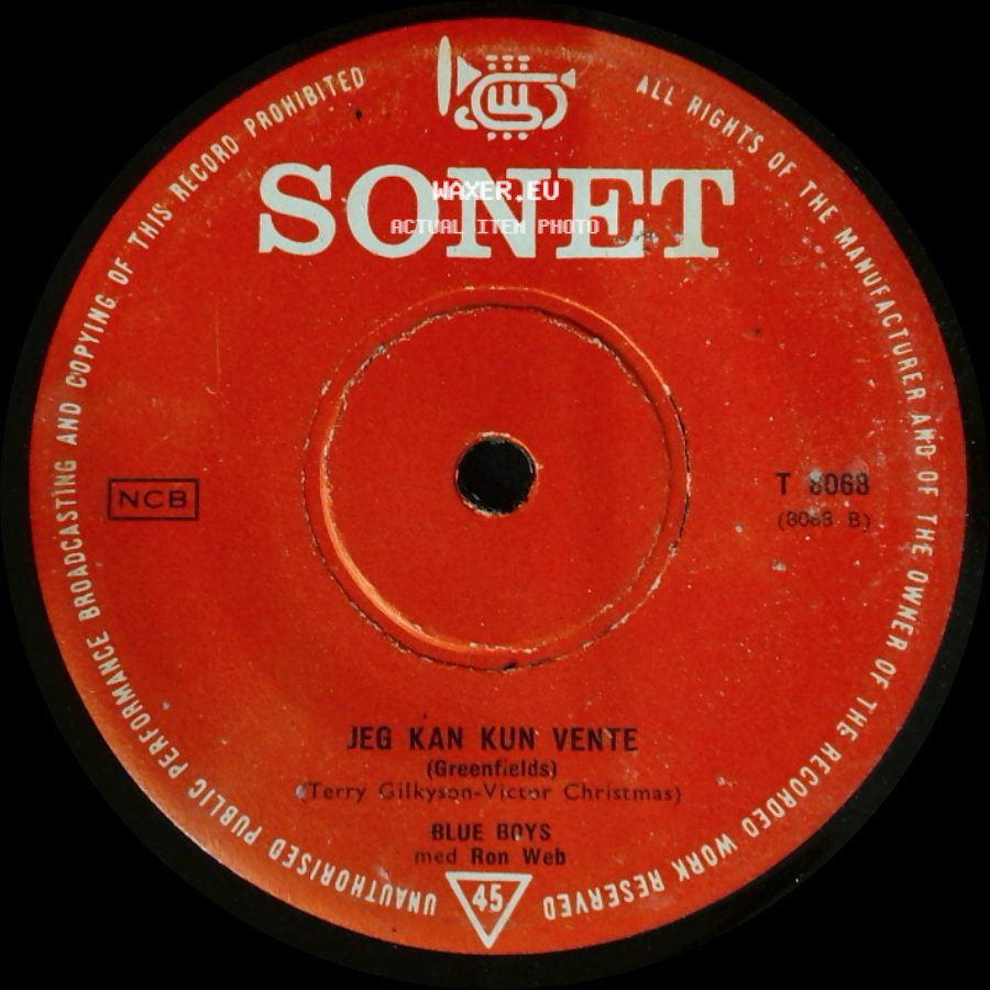 Blue Boys Med Ron Web - En Skraldemand Ta'r Skraldet / Jeg Kan Kun Vente side B