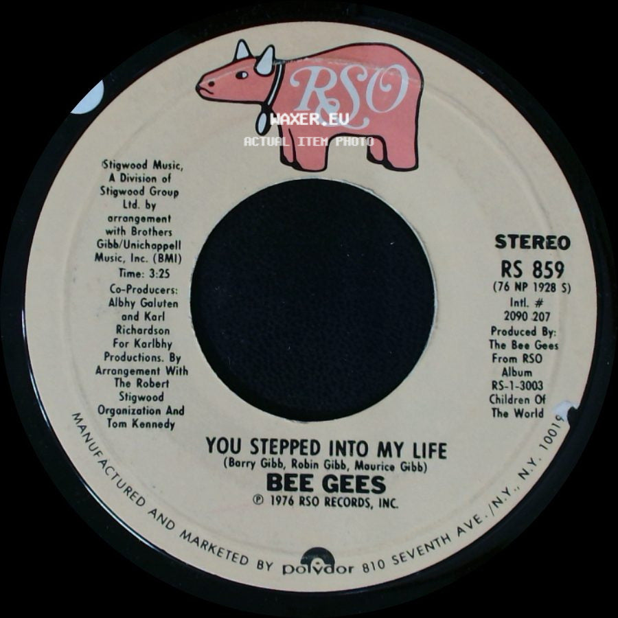 Bee Gees - Love So Right / You Stepped Into My Life side B
