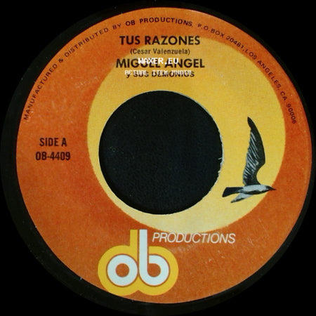 Miguel Angel Y Sus Demonios - Tus Razones / Perdamonos side A
