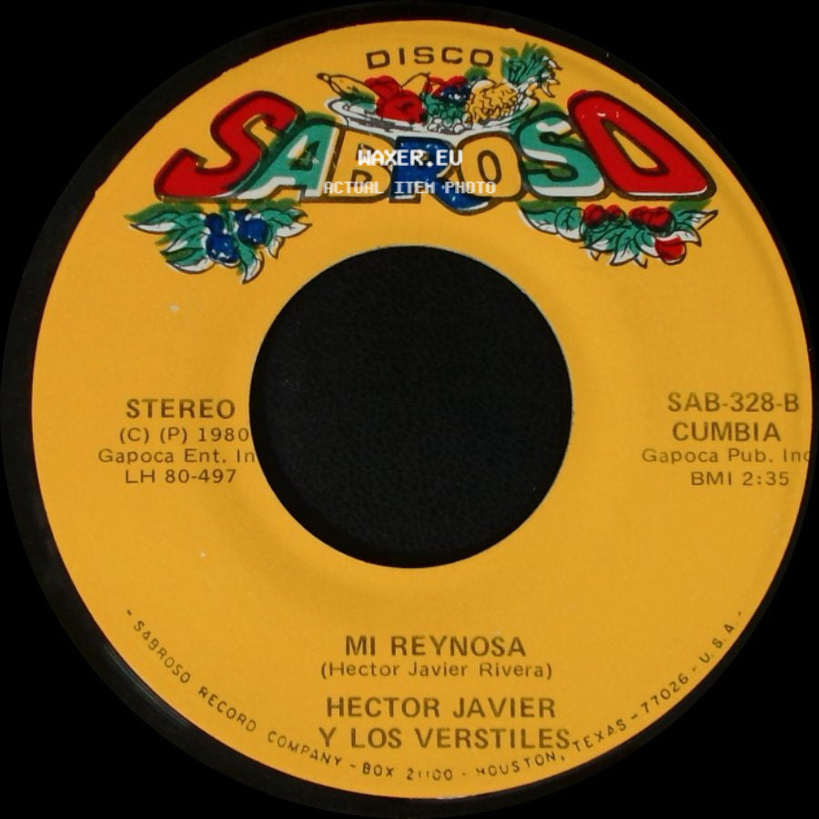 Hector Javier Y Los Verstiles - Los Besos De Maribel / Mi Reynosa side B