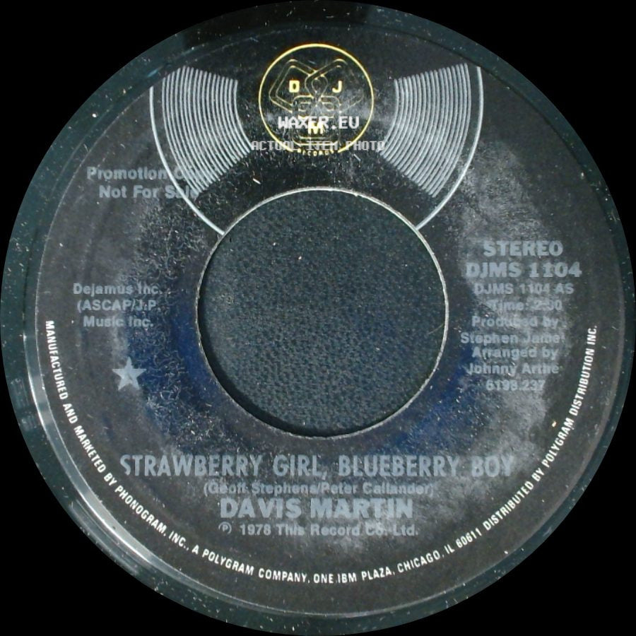 Davis Martin - Strawberry Girl, Blueberry Boy / Another Love Song side A