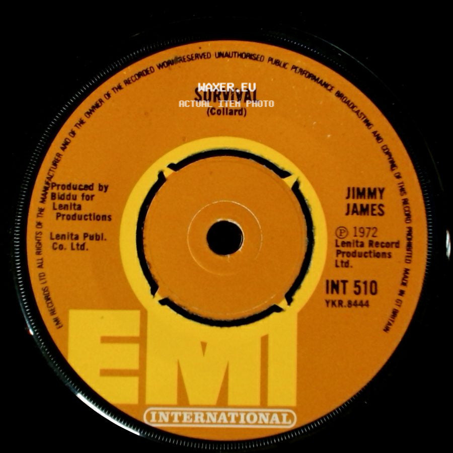 Jimmy James - A Man Like Me / Survival side B