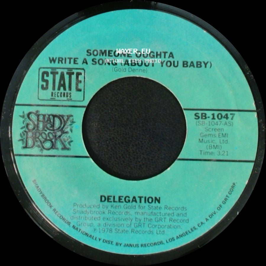Delegation - Someone Oughta Write A Song (About You Baby) / Mr. Heartbreak side A