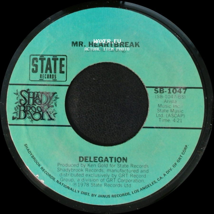 Delegation - Someone Oughta Write A Song (About You Baby) / Mr. Heartbreak side B