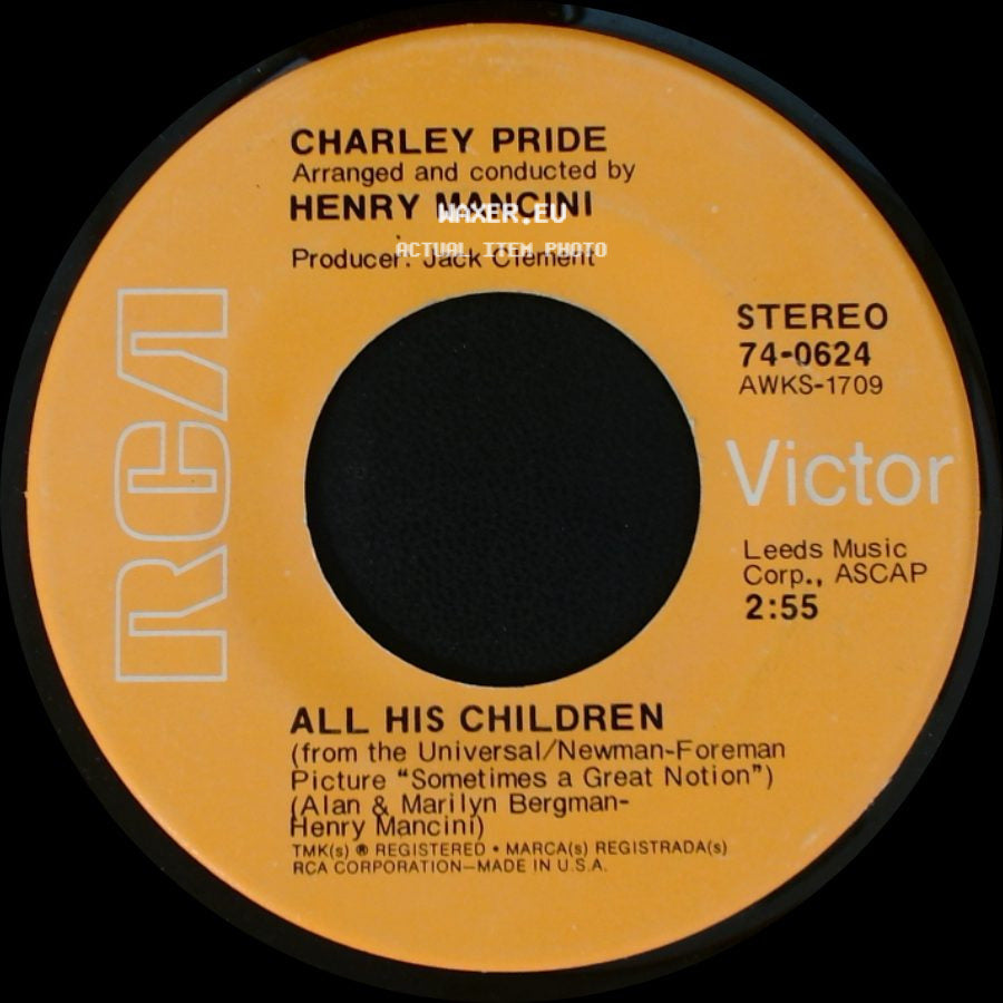 Charley Pride - You'll Still Be The One / All His Children side B