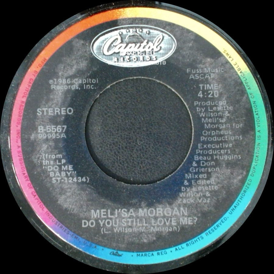Meli'sa Morgan - Do You Still Love Me? / Do You Still Love Me? side B