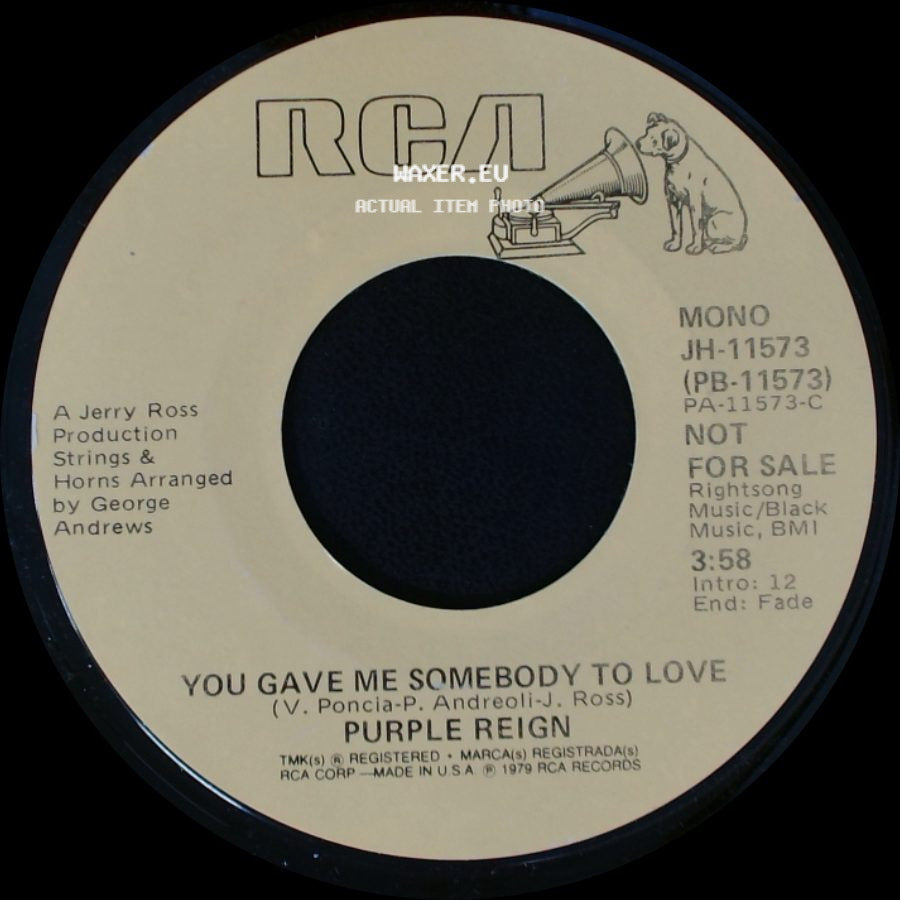 Purple Reign - You Gave Me Somebody To Love / You Gave Me Somebody To Love side A