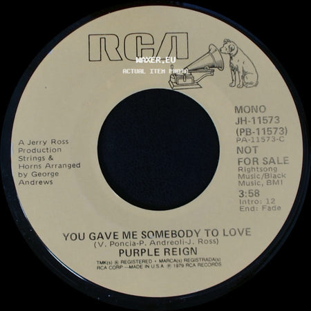Purple Reign - You Gave Me Somebody To Love / You Gave Me Somebody To Love side A