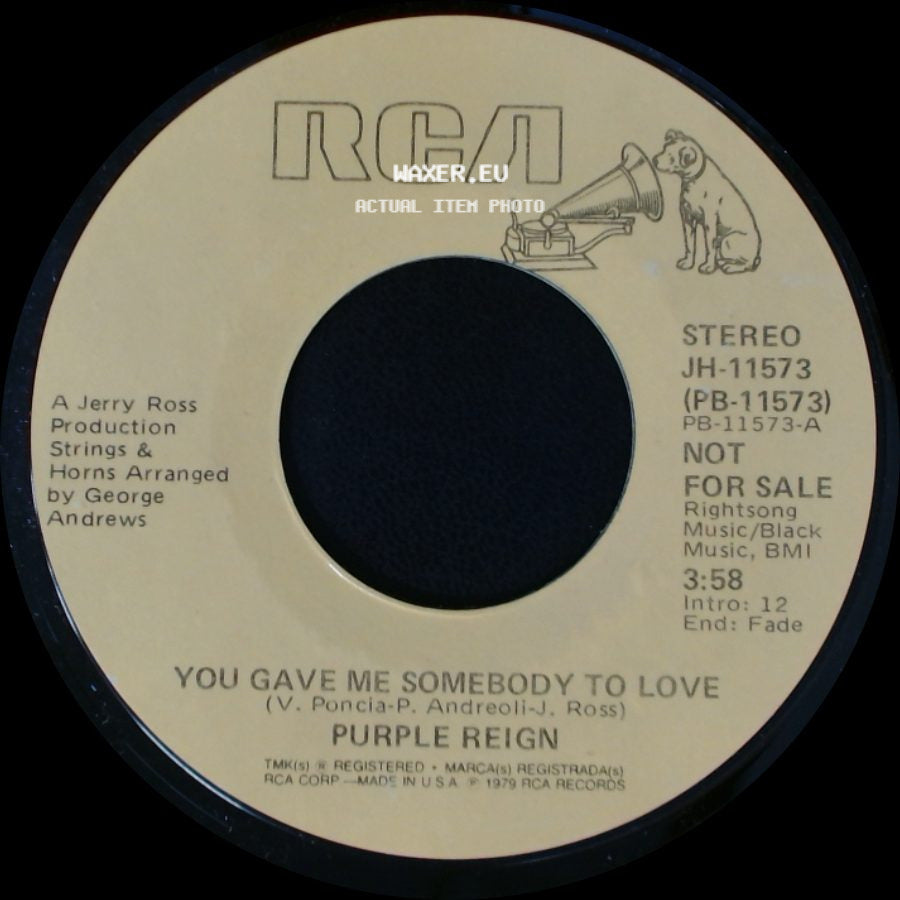 Purple Reign - You Gave Me Somebody To Love / You Gave Me Somebody To Love side B