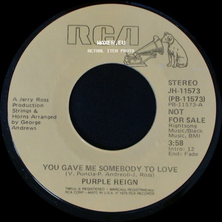 Purple Reign - You Gave Me Somebody To Love / You Gave Me Somebody To Love side B