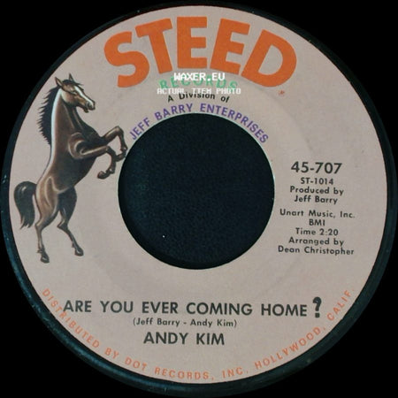 Andy Kim - Are You Ever Coming Home? / How'd We Ever Get This Way? side A