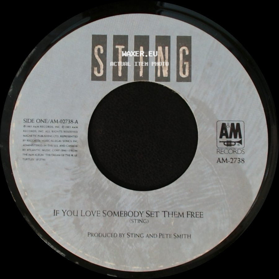 Sting - If You Love Somebody Set Them Free / Another Day side A