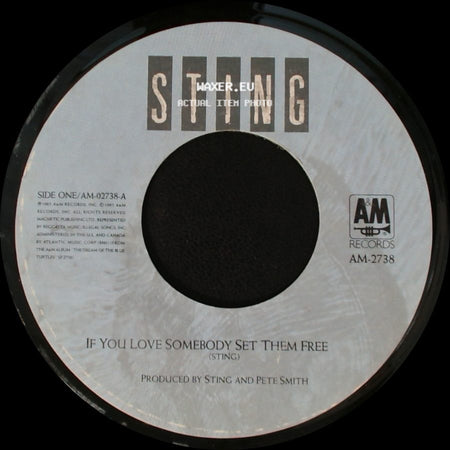 Sting - If You Love Somebody Set Them Free / Another Day side A