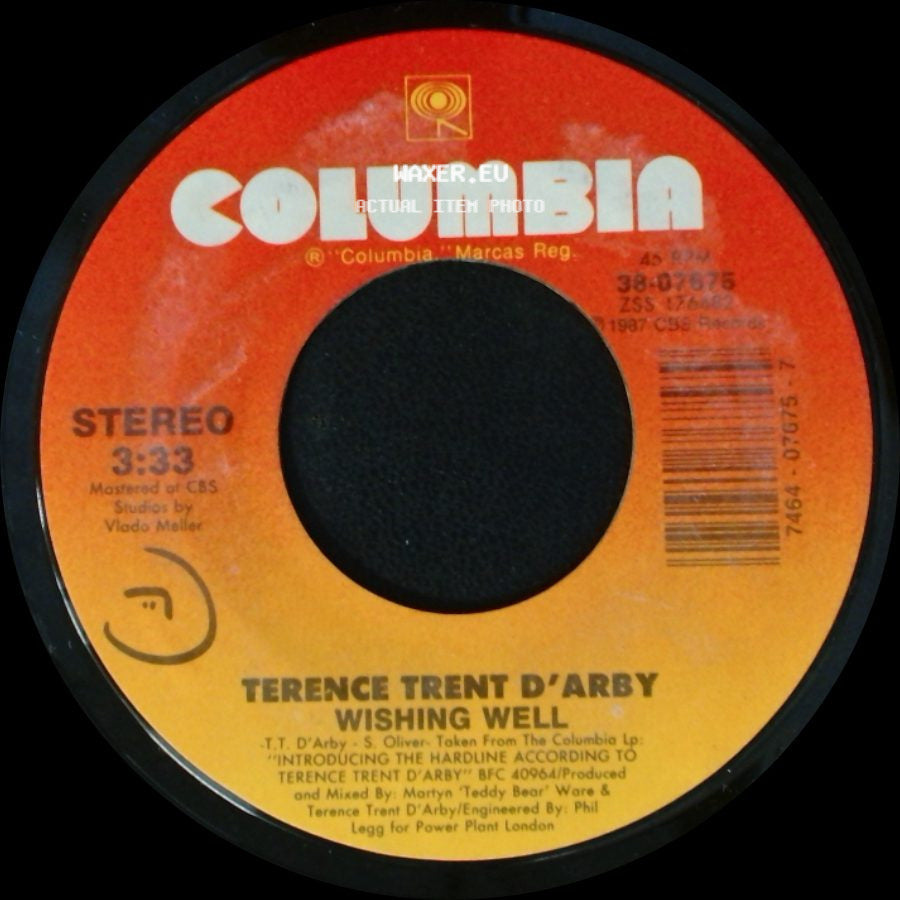 Terence Trent D'arby - Wishing Well / Elevators & Hearts side A