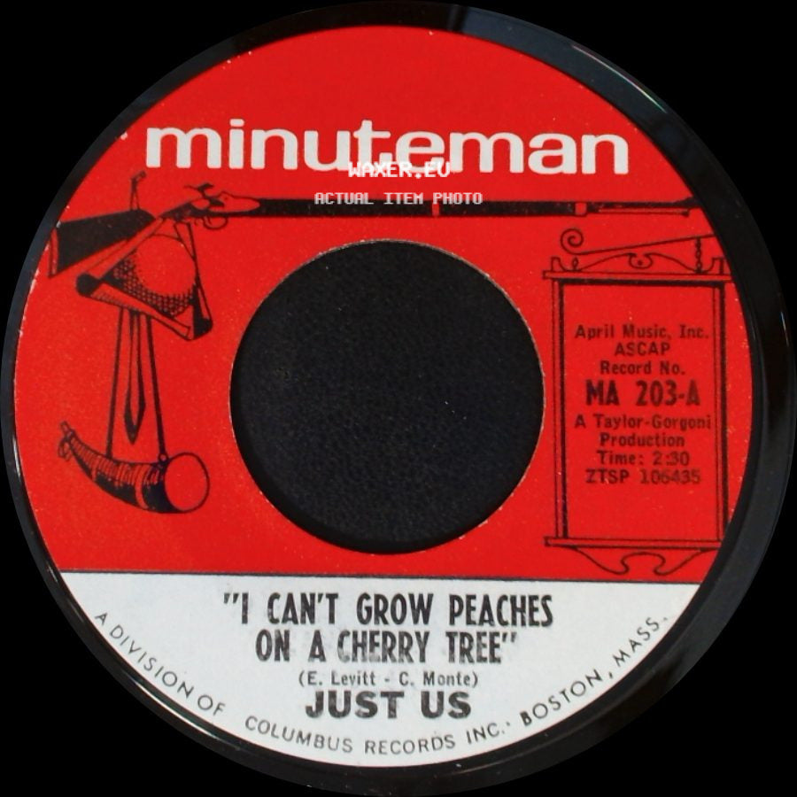 Just Us - I Can Save You / I Can't Grow Peaches On A Cherry Tree side B