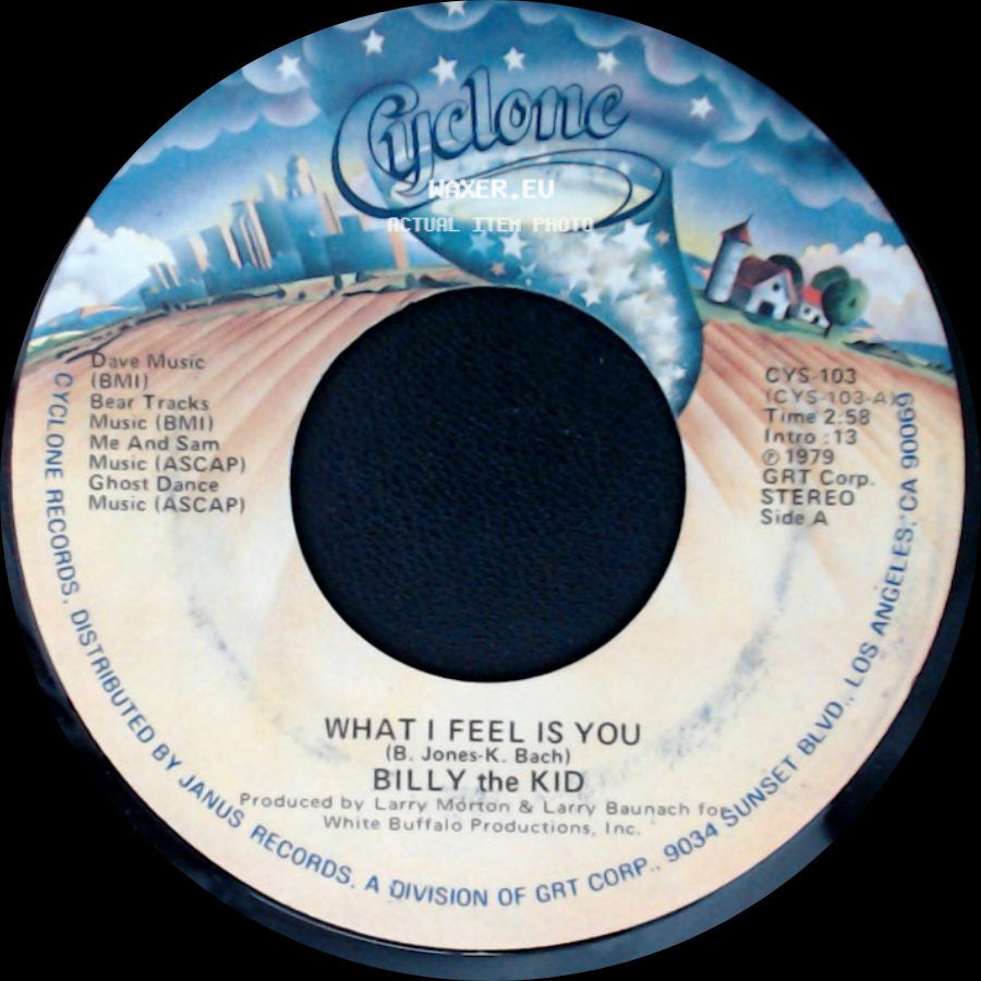 Billy The Kid - What I Feel Is You / Songpainter side A