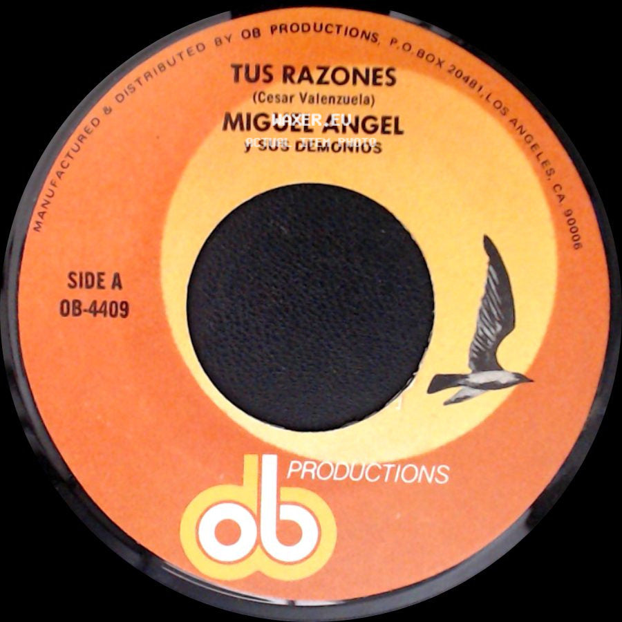 Miguel Angel Y Sus Demonios - Tus Razones / Perdamonos side A