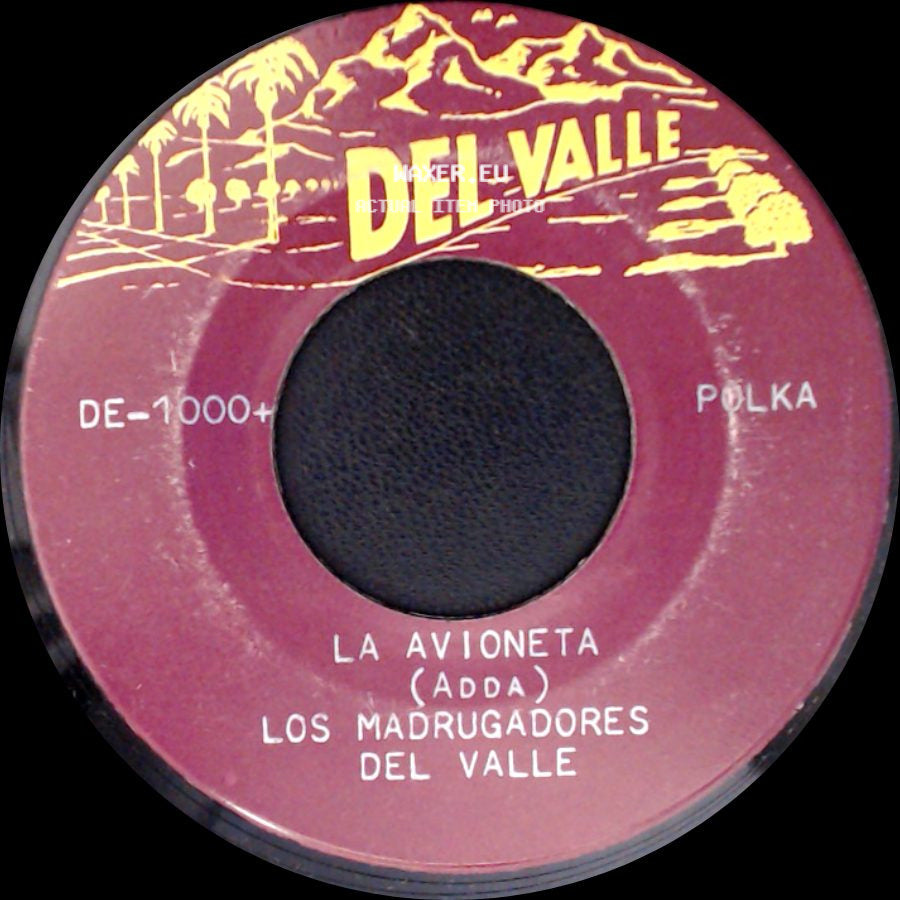 Juan Hernandez Los Madrugadores Del Valle / Los Madrugadores Del Valle - Golpe Terrible / La Avioneta side B