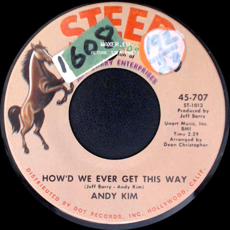 Andy Kim - How'd We Ever Get This Way / Are You Ever Coming Home side A