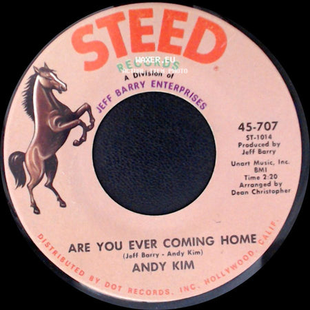 Andy Kim - How'd We Ever Get This Way / Are You Ever Coming Home side B