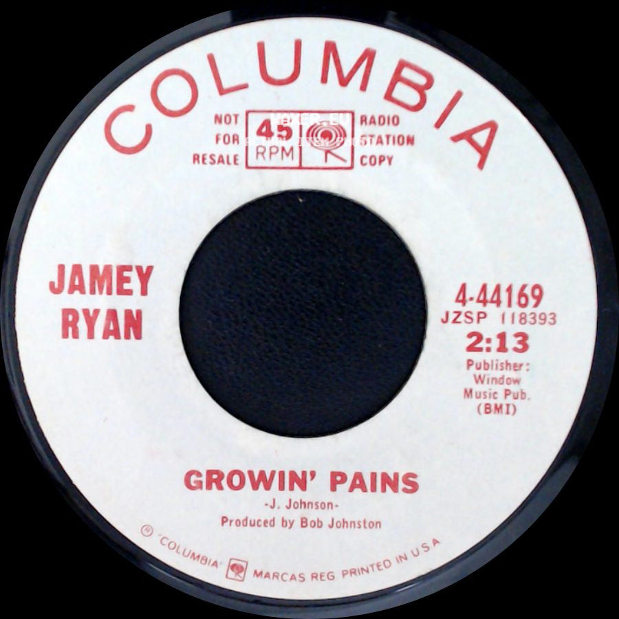 Jamey Ryan - You're Lookin' For A Plaything / Growin' Pains side B