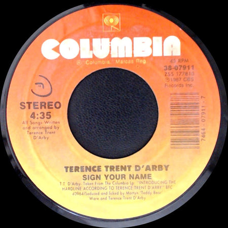 Terence Trent D'arby - Sign Your Name / Greasy Chicken side A