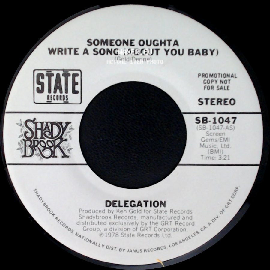 Delegation - Someone Oughta Write A Song (About You Baby) / Someone Oughta Write A Song (About You Baby) side A