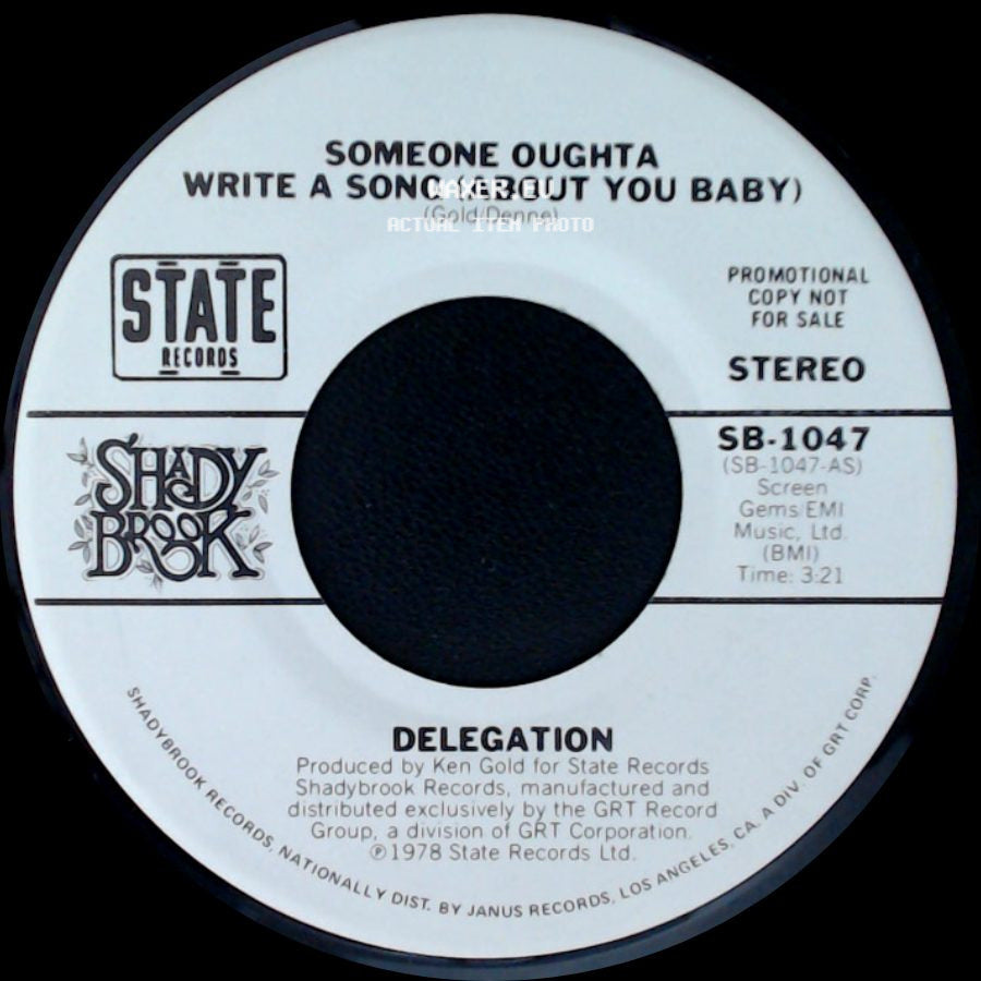 Delegation - Someone Oughta Write A Song (About You Baby) / Someone Oughta Write A Song (About You Baby) side B