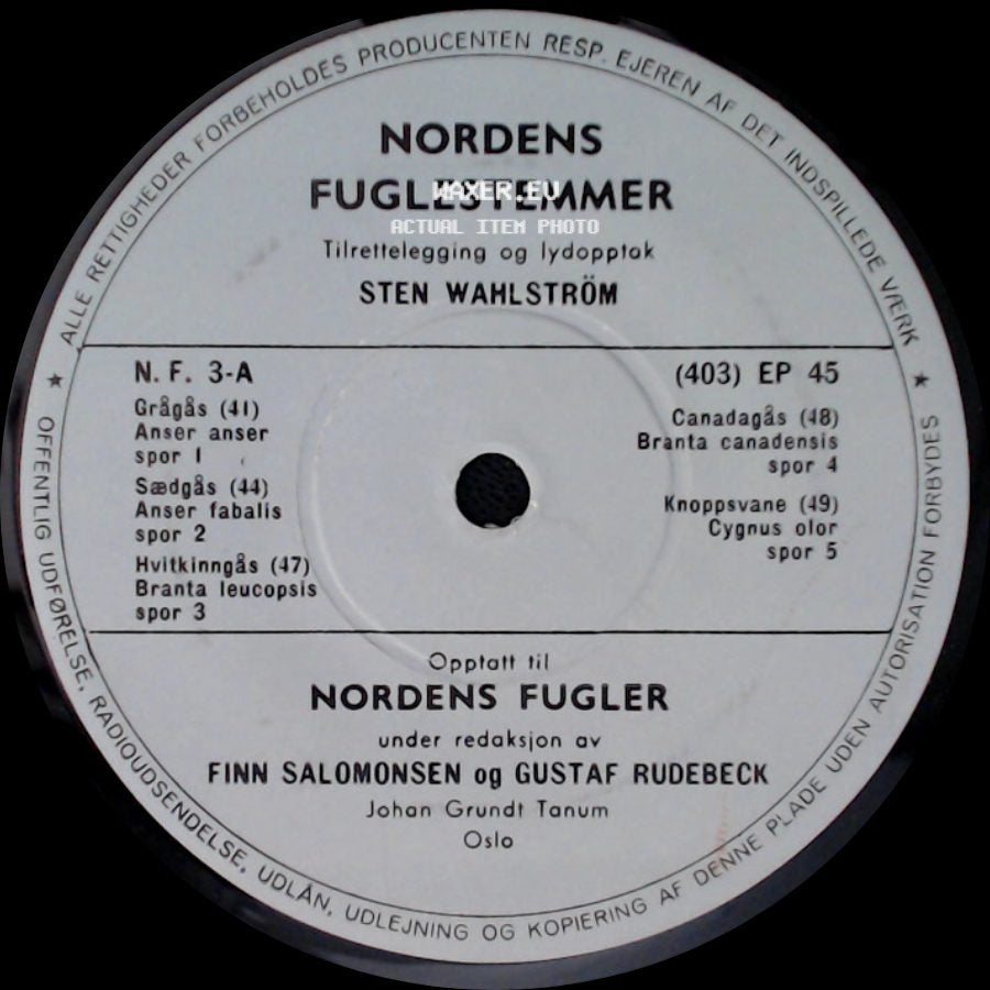 Sten Wahlström - Nordens Fugle / Nordens Fugle side A