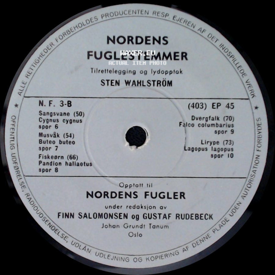 Sten Wahlström - Nordens Fugle / Nordens Fugle side B