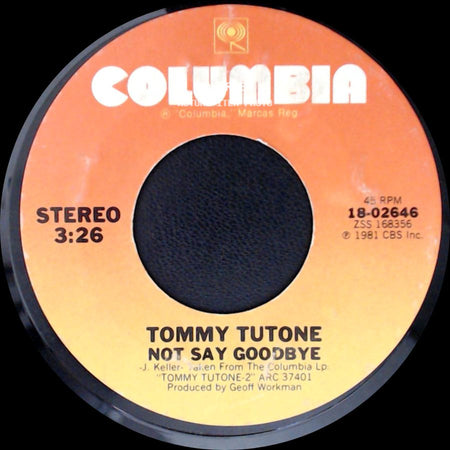 Tommy Tutone - 867-5309/Jenny / Not Say Goodbye side B