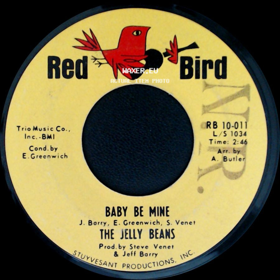 The Jelly Beans - Baby Be Mine / The Kind Of Boy You Can't Forget side A