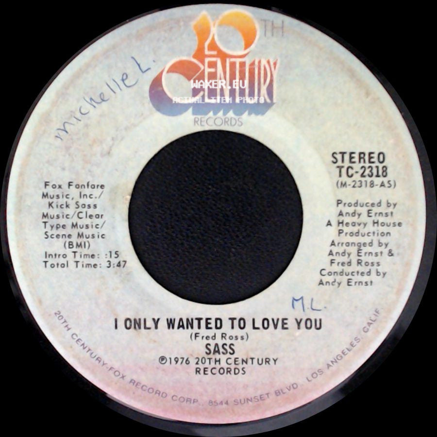 Sass - Do It / I Only Wanted To Love You side B