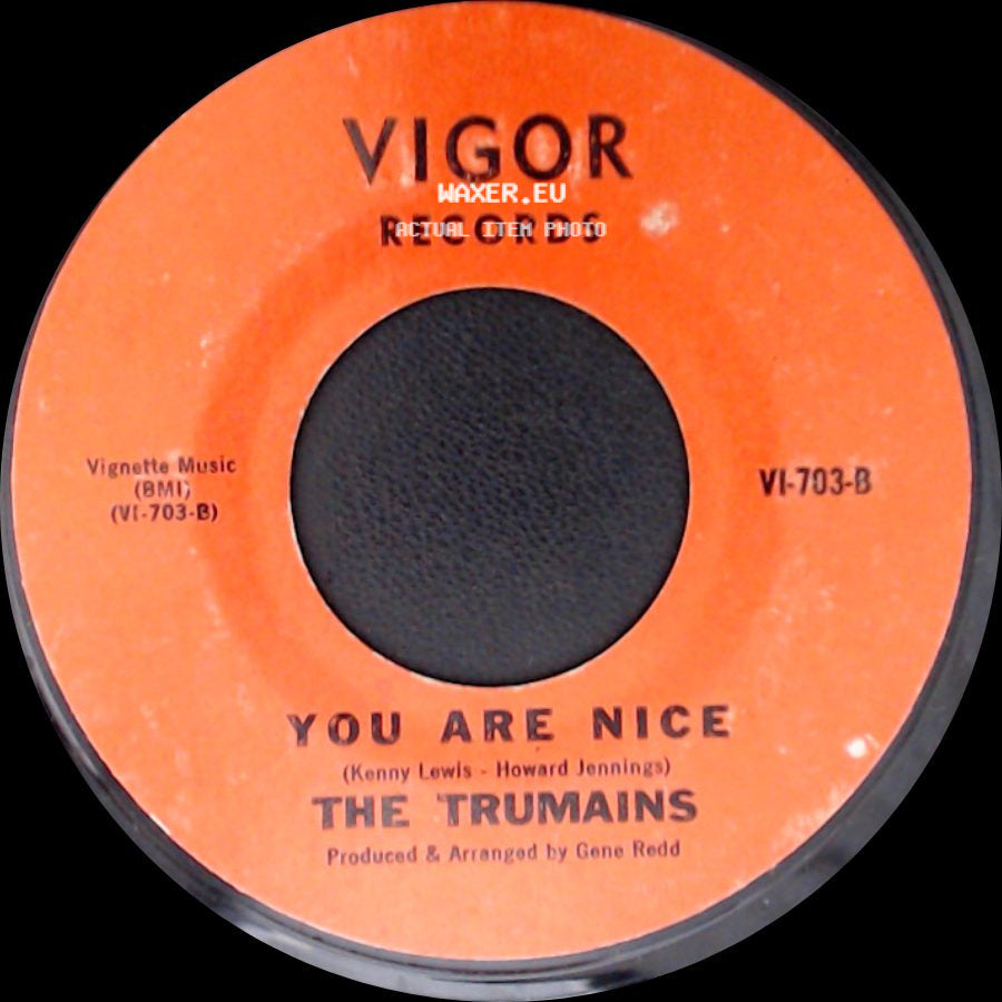 The Trumains - Girl Don't Let Me Down / You Are Nice side B