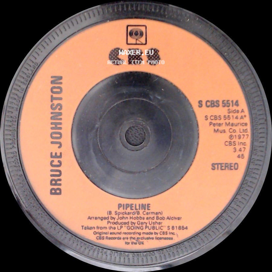 Bruce Johnston - Pipeline / Disney Girls side A