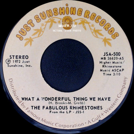 The Fabulous Rhinestones - Nothing New / What A Wonderful Thing We Have side B