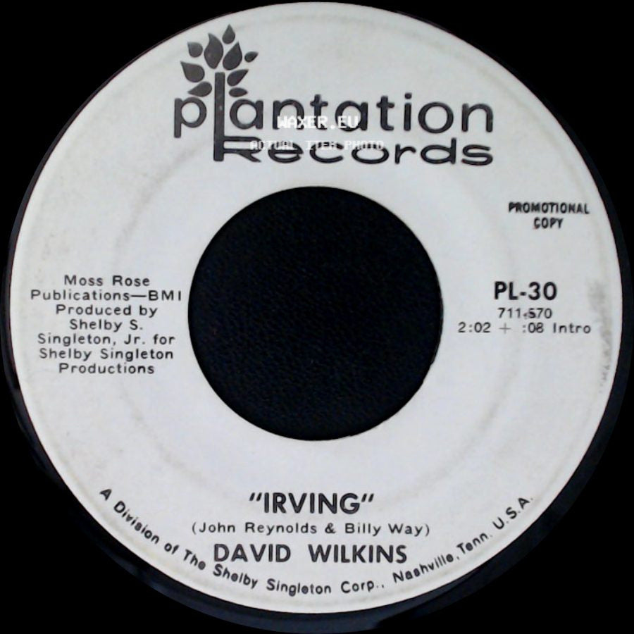 David Wilkins - Irving / Irving side B