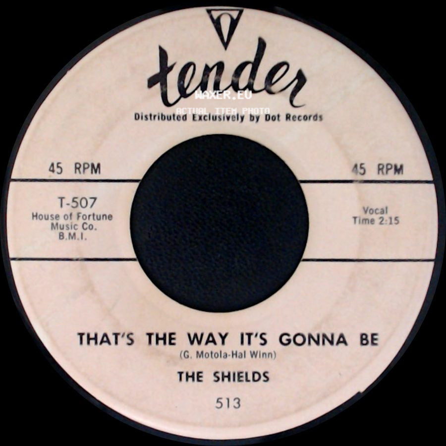 The Shields - You Cheated / That's The Way It's Gonna Be side B