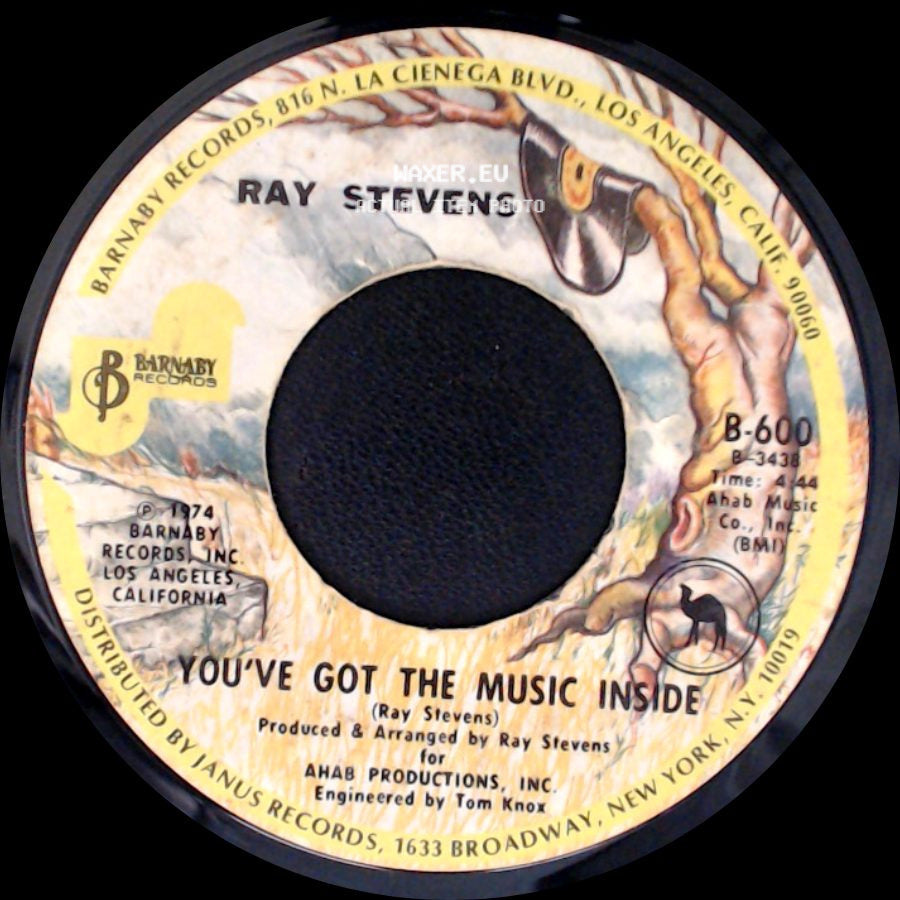 Ray Stevens - You've Got The Music Inside / The Streak side A